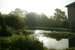 DSC00224