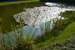 db_P10500431