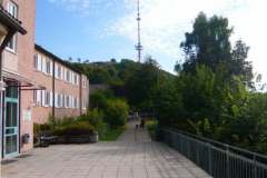 db_P1050064